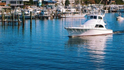 Backdown 2 Fishing Charters