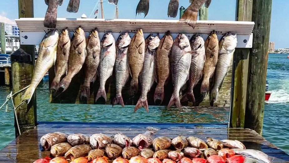 Makaira Fishing Charters
