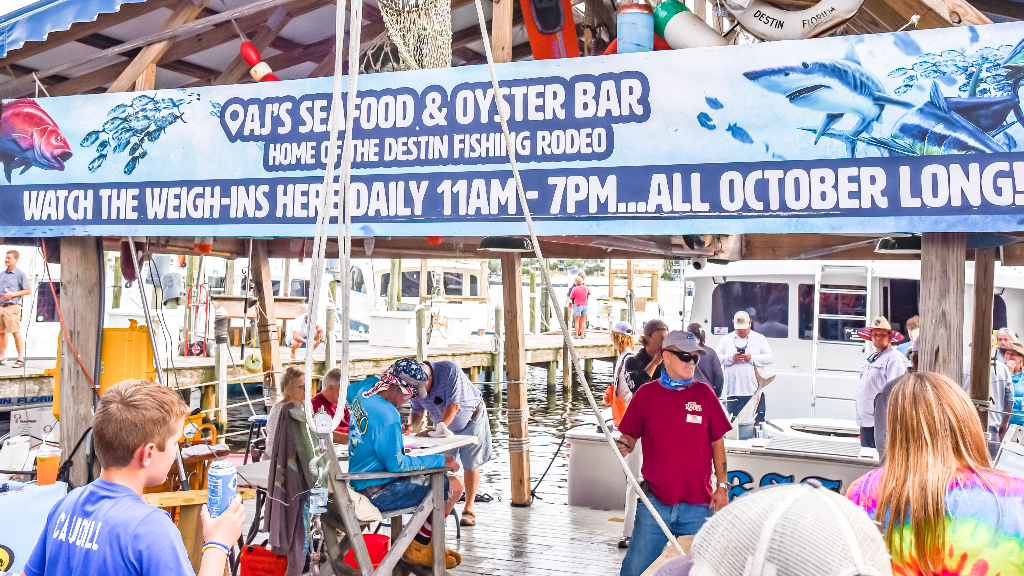 Destin Florida Fishing Rodeo