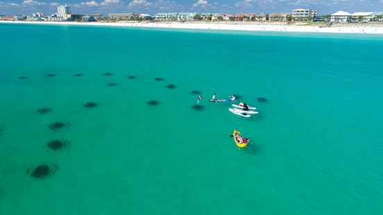 Miramar Beach Dolphin Reef by Joe Godar